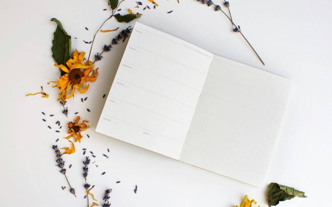 TO WANT LISTE – Das hab ich bis zum 31.12.2025 umgesetzt