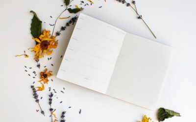 TO WANT LISTE – Das hab ich bis zum 31.12.2025 umgesetzt